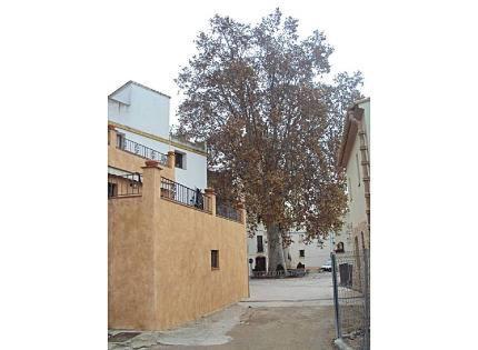 Casa Rural Cal Josefina & Tomas La Riera  Dış mekan fotoğraf