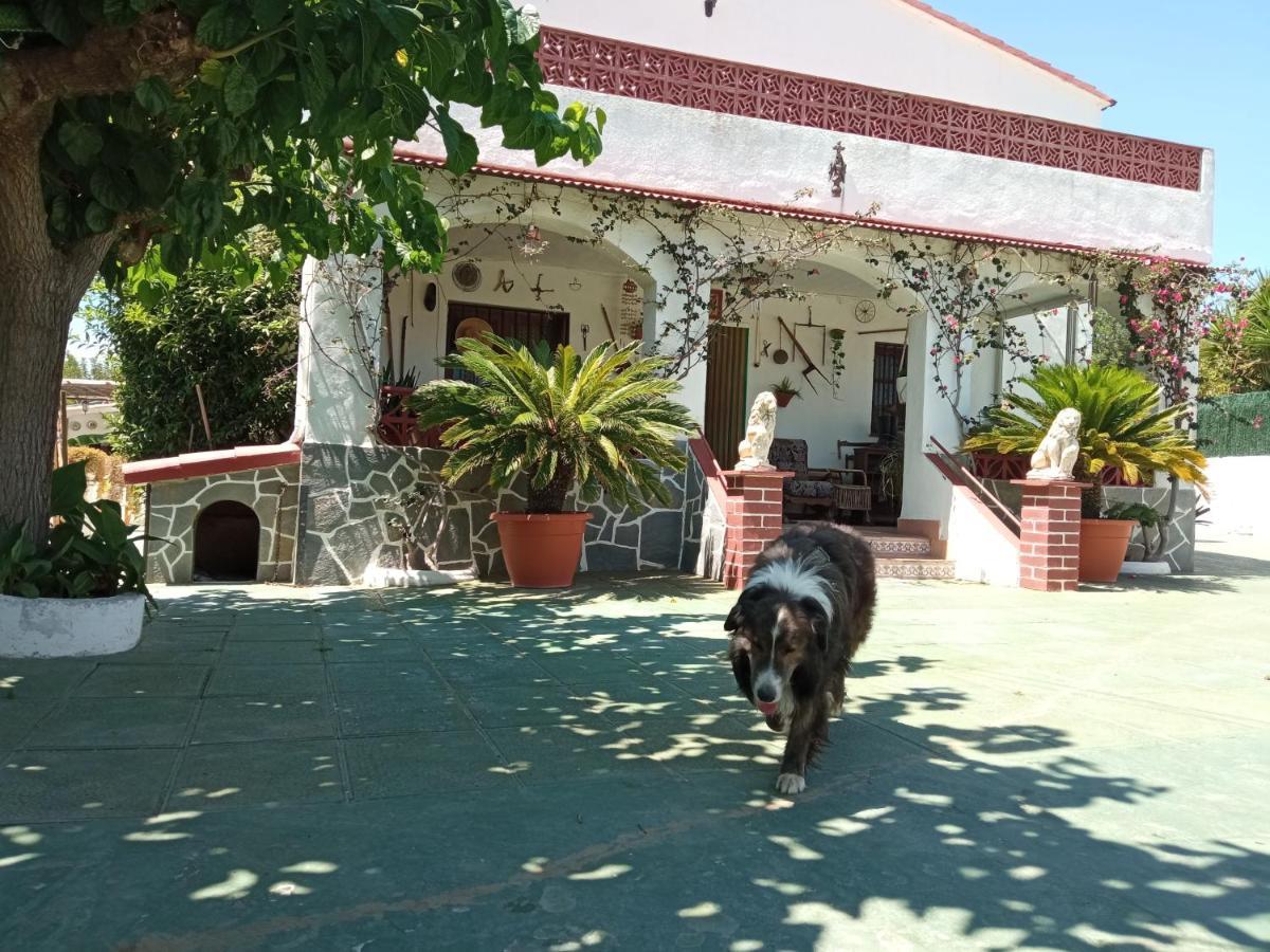 Casa Rural Cal Josefina & Tomas La Riera  Dış mekan fotoğraf