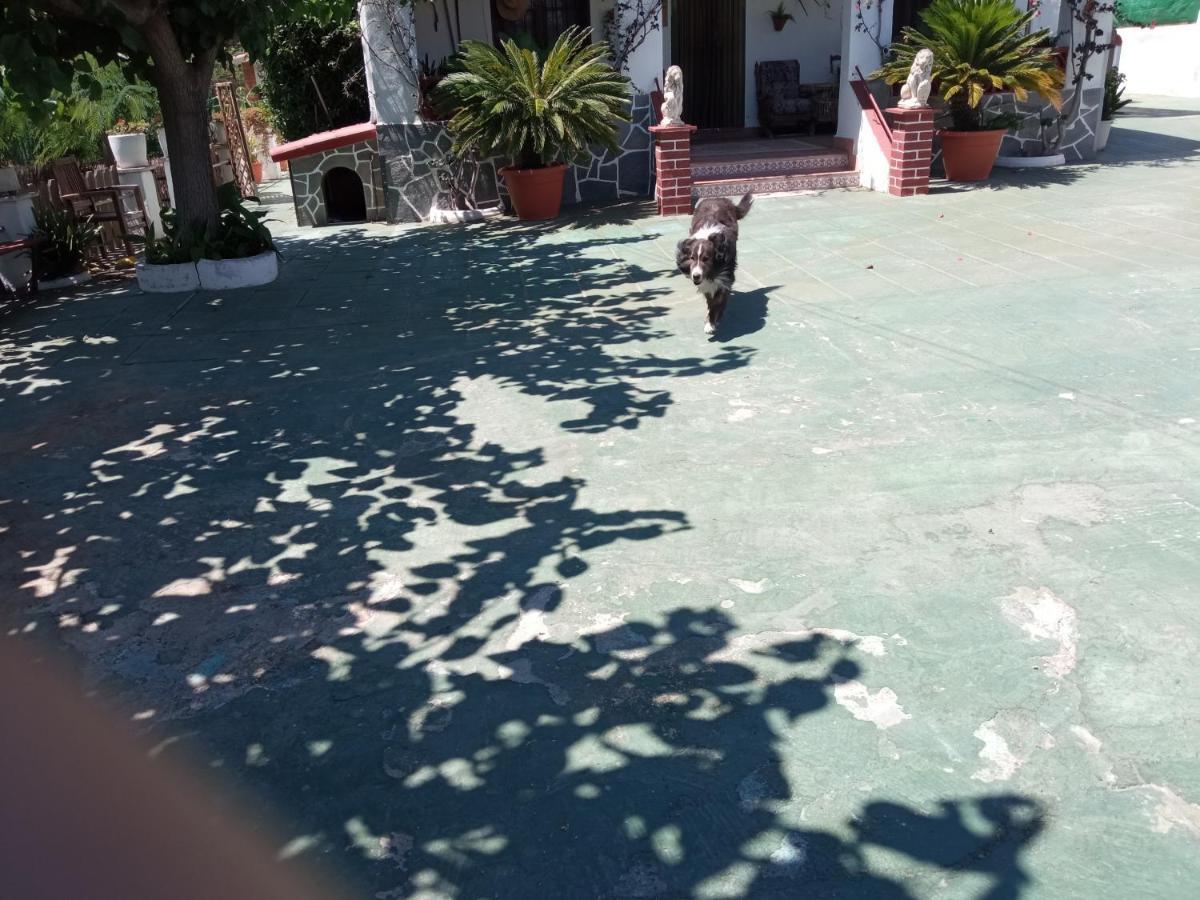 Casa Rural Cal Josefina & Tomas La Riera  Dış mekan fotoğraf